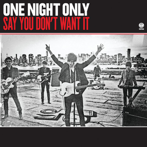 Artwork for Say You Don't Want It