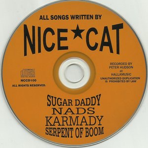 nice cat