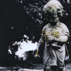 Fragments Of Lust And Decay