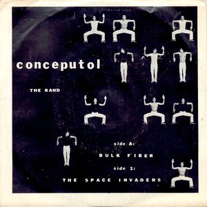 Bulk Fiber / The Space Invaders