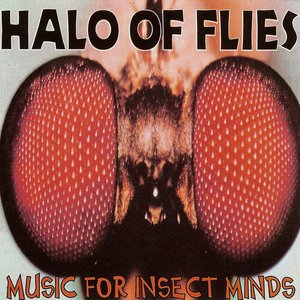 Music For Insect Minds