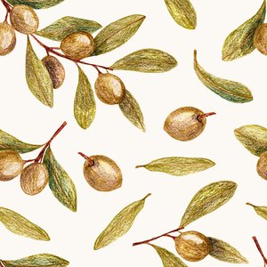 The Olive Tree
