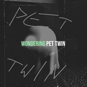 Wondering
