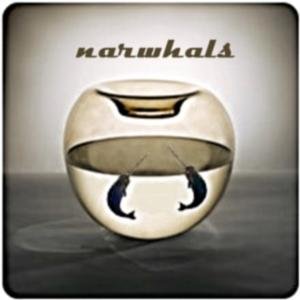 Avatar for Narwhals