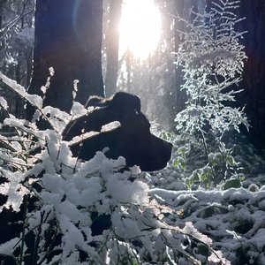 Scenes (ambient and cinematic works)