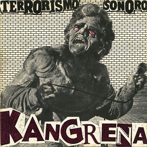 terrorismo sonoro