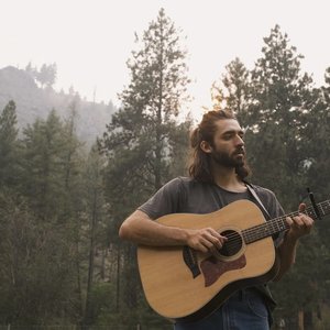 Avatar for The National Forest