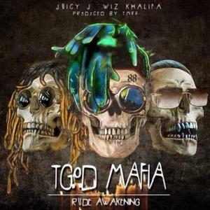Rude Awakening album cover