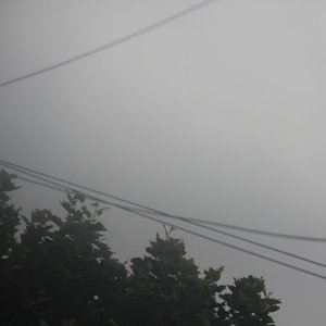 Rude Cherrypicker Awakening