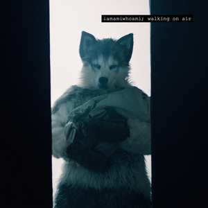 iamamiwhoami