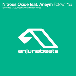 Artwork for Follow You (Maor Levi Remix)