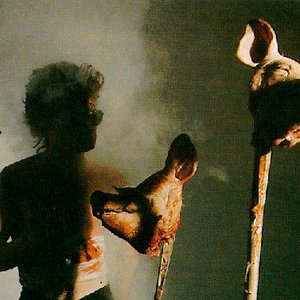 Avatar di The Foetus Symphony Orchestra