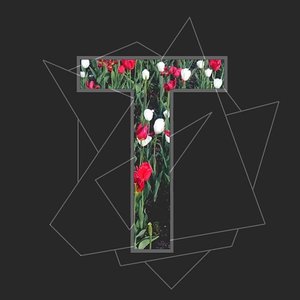 Avatar for Trastler