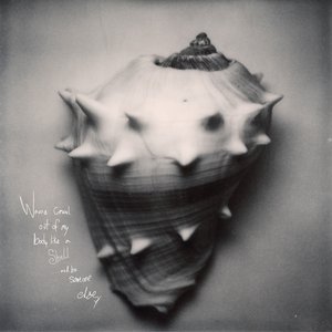 Shell
