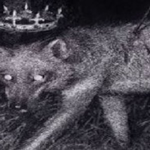 Avatar for Kurgan