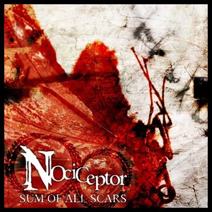 Sum of all Scars