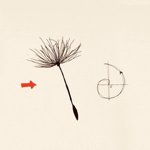 Parachutes