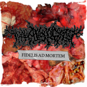 Fidelis Ad Mortem album cover