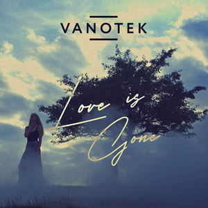 Artwork for Love is Gone