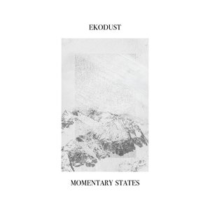 Momentary States