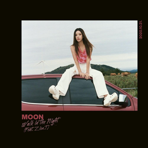 Cover von Walk in the Night (feat. Zion.T)