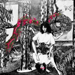 The Hem & The Haw album cover