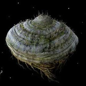 Avatar for Samorost 2