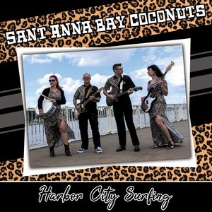 Harbor City Surfing