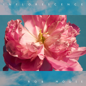 Inflorescence album cover