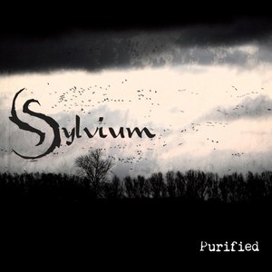 Purified - Single