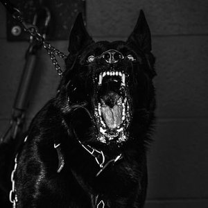Dark Side