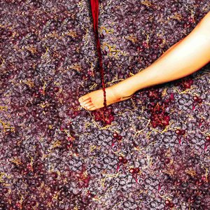Where Is The Wine?