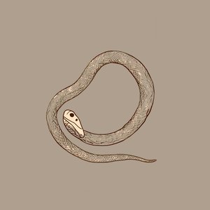 dirty loops