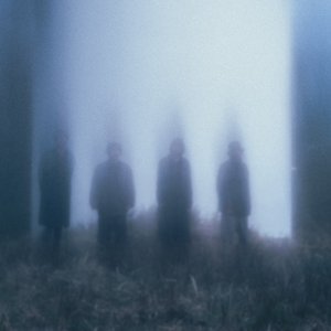 Avatar for 揺れるは幽霊