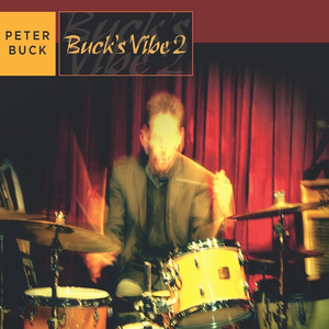 Buck's Vibe 2 album cover