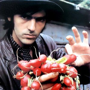 Avatar for Robyn Hitchcock