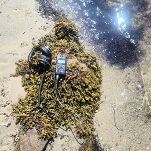 On a River in the Ocean