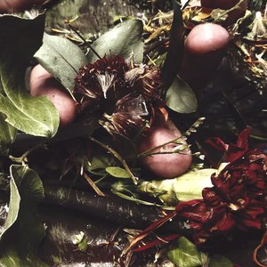 Birth and Loss