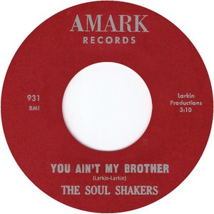 You Ain't My Brother - Single