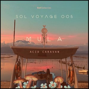 Sol Voyage 005 - Acid Caravan (DJ Mix)
