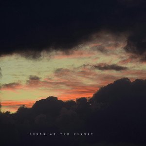 Lungs of the Planet