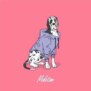 Moletom