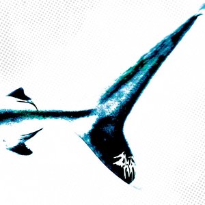 Dolphins