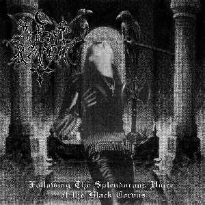 Following the Splendorous Voice of the Black Corvus