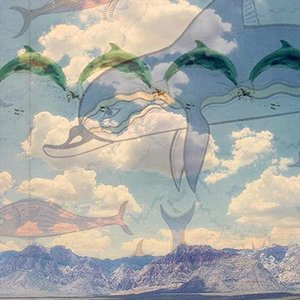 Dolphins of Fun