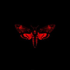 I Am Not A Human Being II
