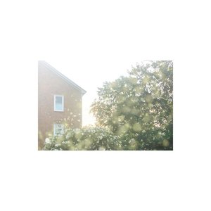 18. - Single