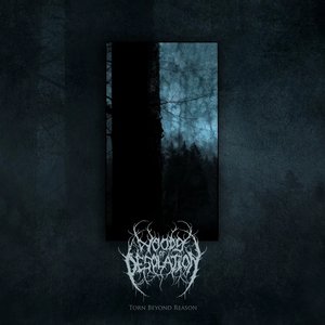 Torn Beyond Reason (2022 Remastered)
