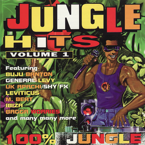 Jungle Hits, Vol. 1 by Shy FX
