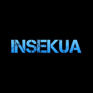 Avatar for insekua
